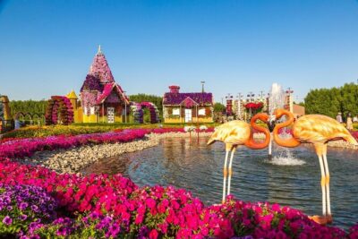 Dubai Miracle Garden and Global Village Shopping Tour