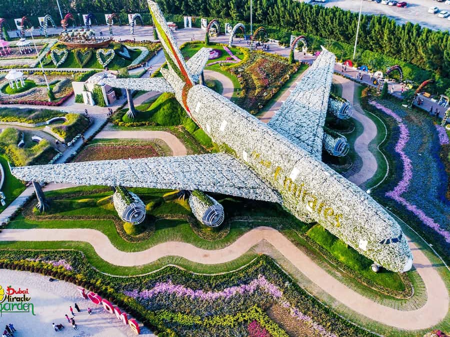 Dubai: Miracle Garden Entry Ticket with Hotel Transfer - Key points at a glance