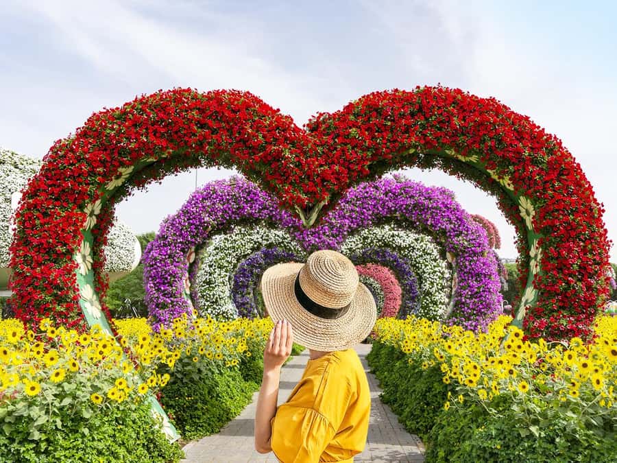 Dubai: Miracle Garden Entry Ticket with Hotel Transfer - What this Miracle Garden trip is really like