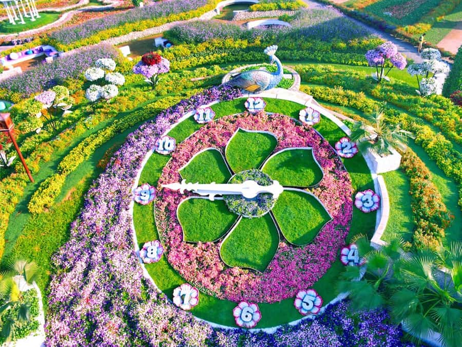 Dubai: Miracle Garden Entry Ticket with Hotel Transfer - Why the Airbus A380 gets top billing