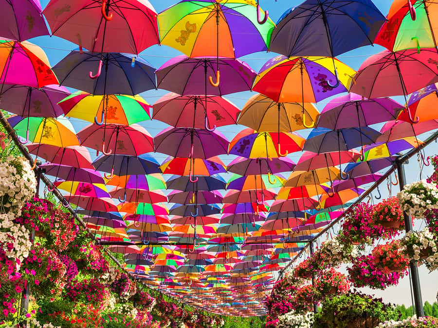 Dubai: Miracle Garden Entry Ticket with Hotel Transfer - How much time should you allow?