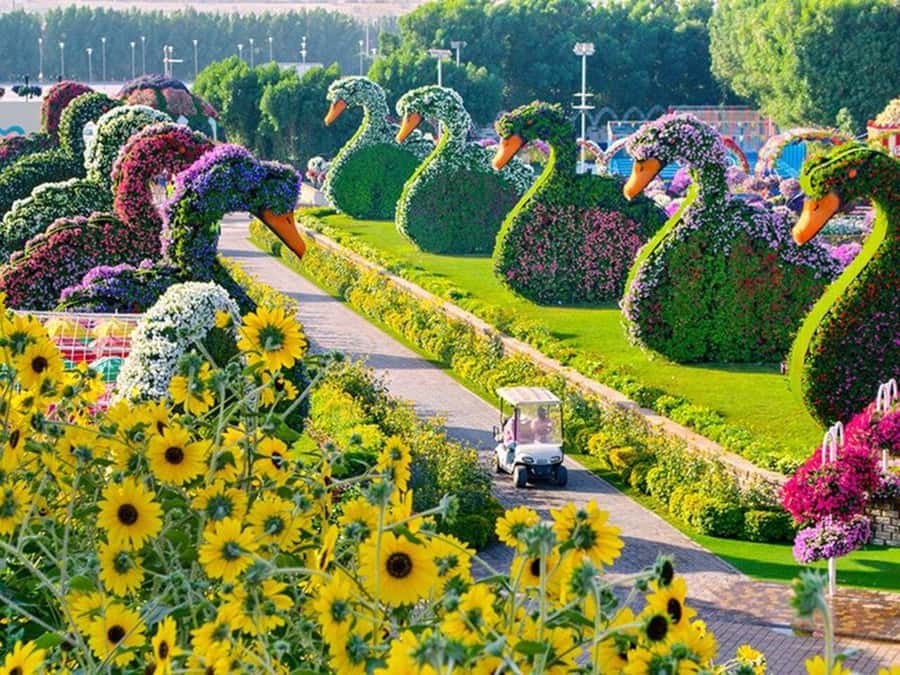 Dubai: Miracle Garden, Global Village, and Dubai Frame - Dubai Frame: a detail you should confirm