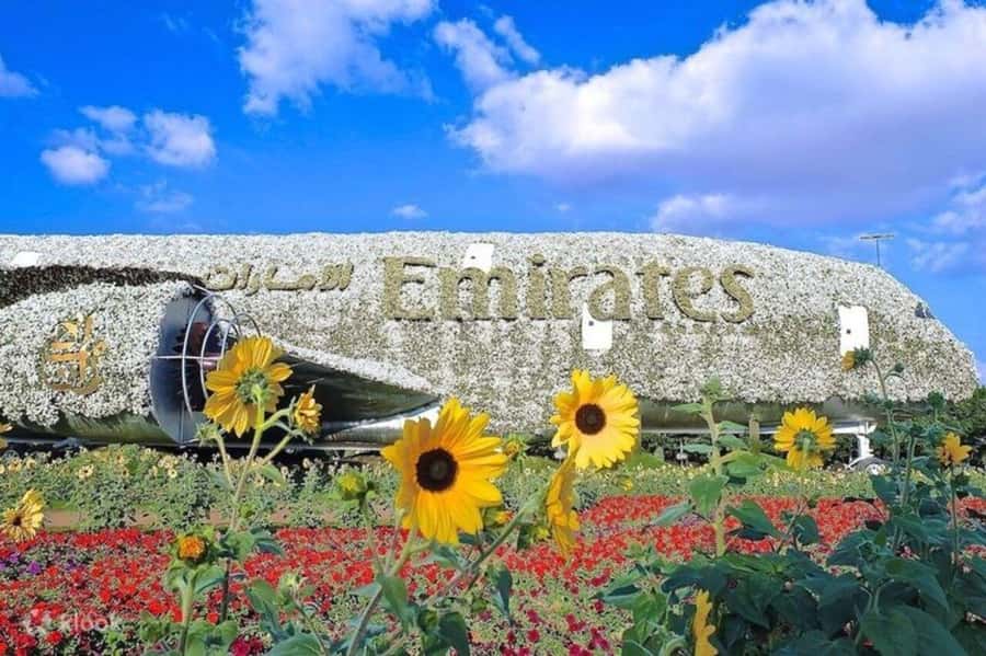Dubai: Miracle Garden, Global Village, and Dubai Frame - Who will enjoy it most