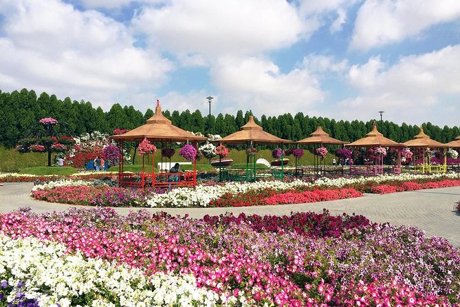 Dubai Miracle Garden Self-Guided Tour with Ticket with Transfer - The Emirates A380 and the biggest photo stops