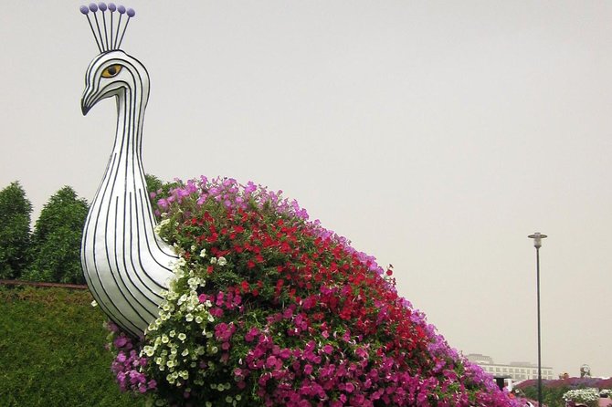 Dubai Miracle Garden Self-Guided Tour with Ticket with Transfer - Shared pickup from your Dubai accommodation