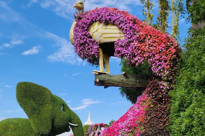 Dubai Miracle Garden Skip the Line E-Ticket and Transport Options - Photography rules and on-site distractions