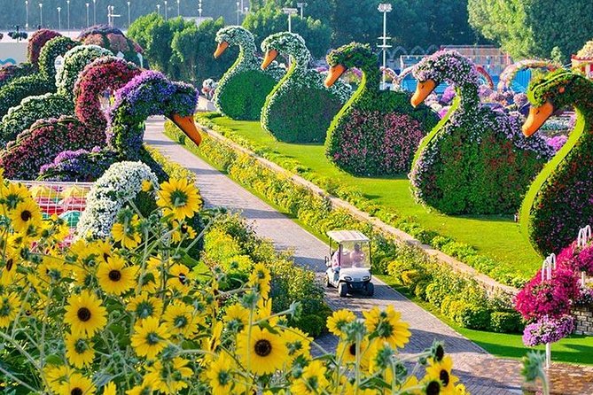 Dubai Miracle Garden with private round trip transfers - Private pickup changes the value of the visit