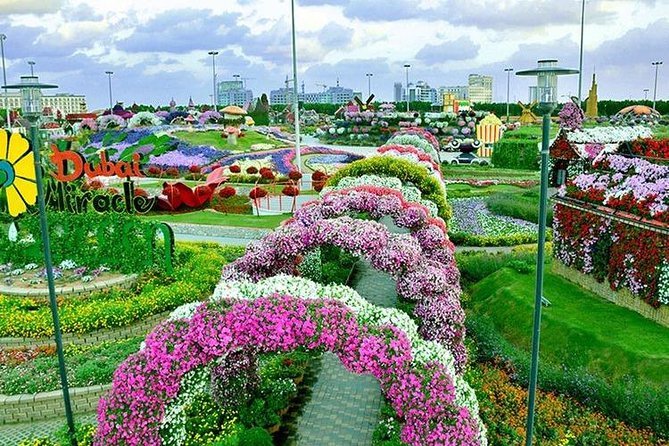 Dubai Miracle Garden with private round trip transfers - Entering with a pre-arranged ticket