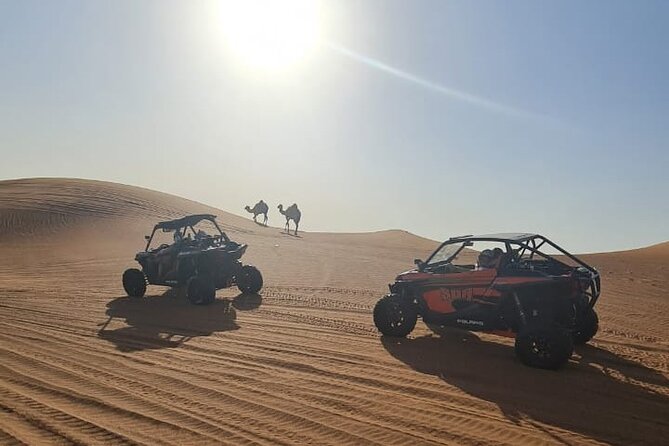 Dubai Morning Buggy Dunes Safari with Sandboarding & Camel Ride - One hour across the open dunes