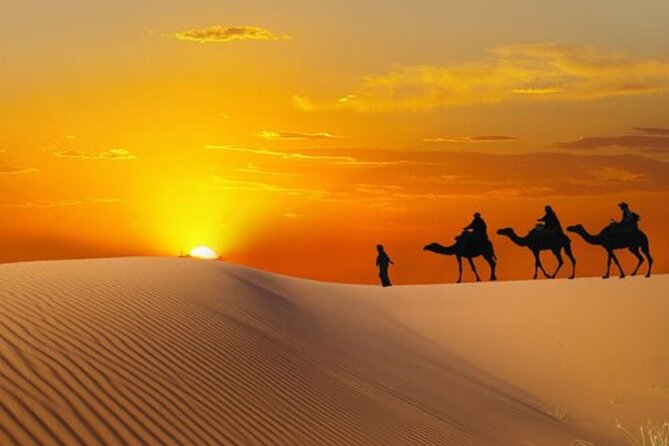 Dubai: Morning Desert Safari - Why this short safari works well in Dubai