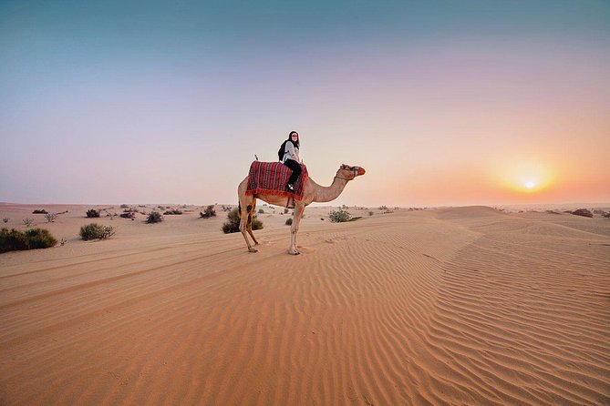 Dubai Morning Desert Safari: Camel Ride & Sandboarding! - Key things to know before you book