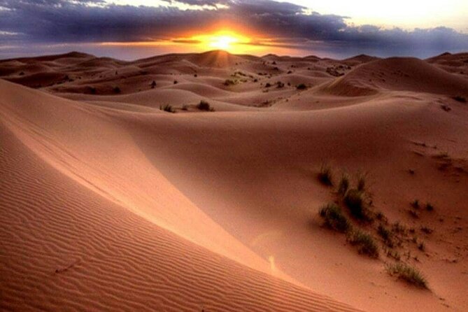 Dubai Morning Desert Safari: Camel Ride & Sandboarding! - Sandboarding on the soft dunes