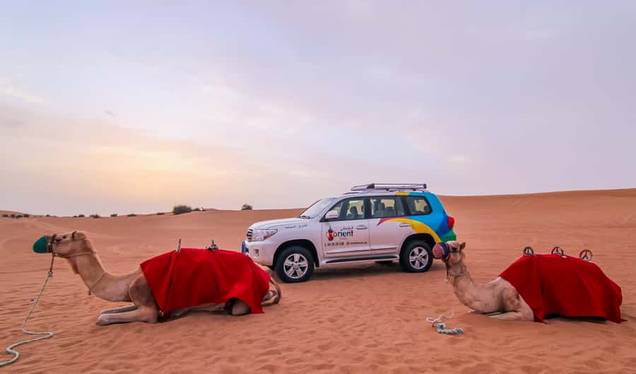 Dubai: Morning Desert Safari with Camel Ride & Sandboarding - The Photo Stop and Open Desert Views