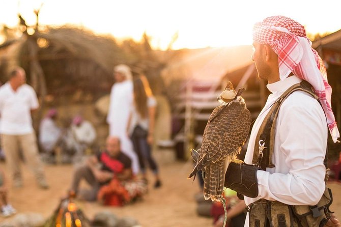 Dubai Morning & evening Desert Safari Tours - What this Dubai desert safari is really like