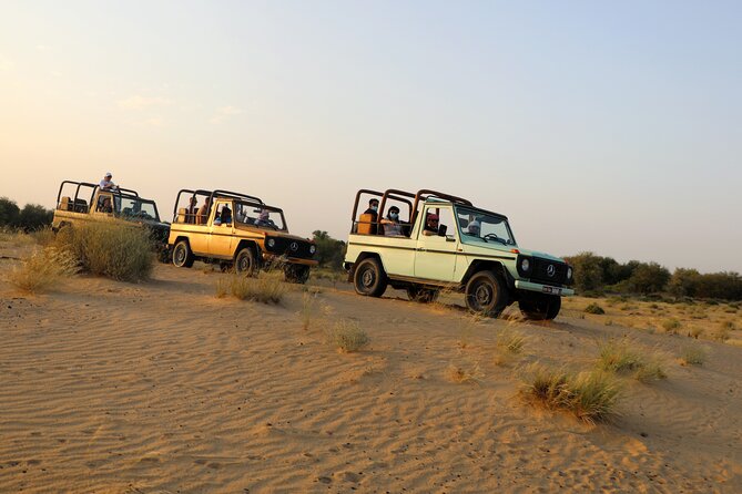 Dubai: Morning Heritage Safari by Vintage G Class & Al Marmoom Oasis - Breakfast beside the oasis