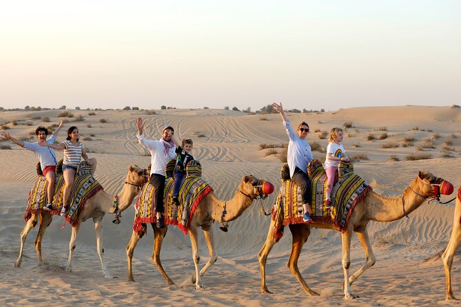 Dubai: Morning Safari by Vintage G Class & Al Marmoom Experience - Searching for wildlife in Al Marmoom