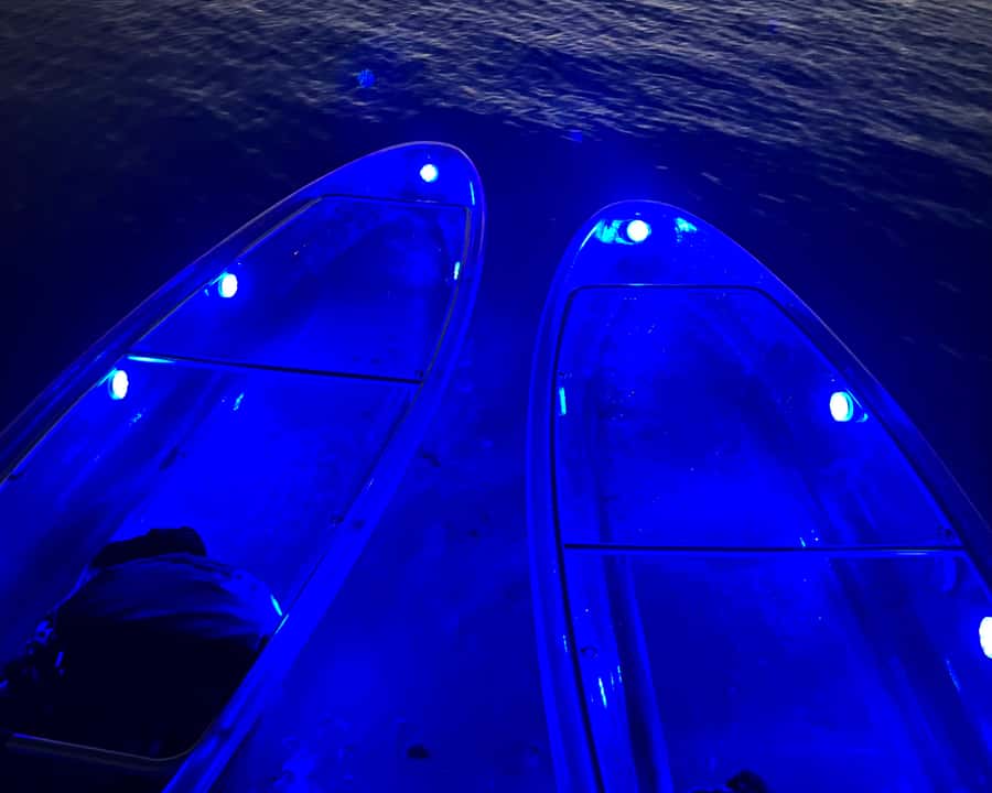 Dubai: Night Kayaking Tour - Photos, equipment, and getting wet