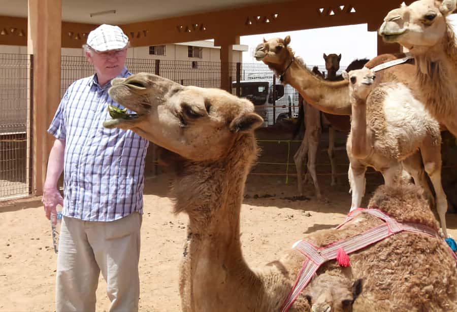 Dubai: Old City Walking Tour with Abra Ride - Al Bastakiya and Al Fahidi reward slow looking