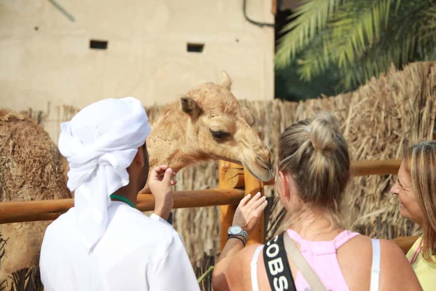 Dubai: Old City Walking Tour with Abra Ride - Al Seef shows Dubai’s old and new sides together
