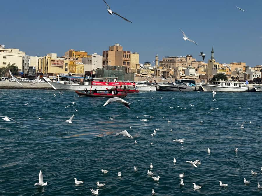 Dubai: Old Town Walking Tour with Abra Cruise & Street Food - Wind towers, the Old Mosque, and Dubai’s early story