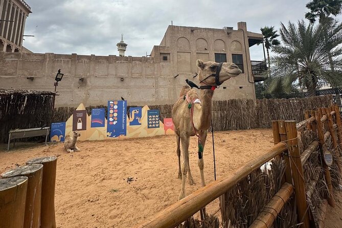 Dubai Old Town Walking Tour with Abra ride, Spice and Gold Souk - Crossing Dubai Creek by abra