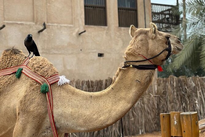 Dubai Old Town Walking Tour with Abra ride, Spice and Gold Souk - How much value do you get for $86.53?