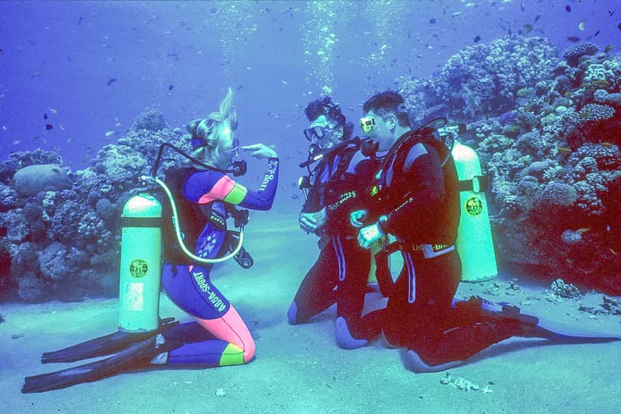 Dubai: PADI Open Water 18-Meter Diving Certification - Learning the basics before you enter the water