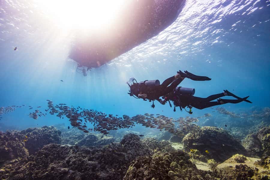 Dubai: PADI Open Water 18-Meter Diving Certification - Who should choose this course