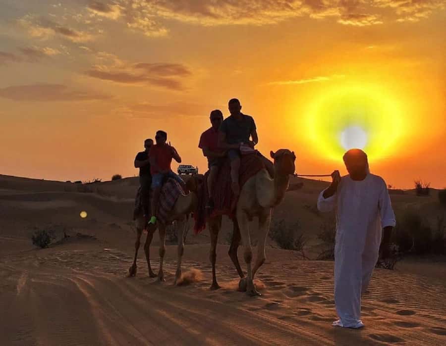Dubai: Polaris RZR and Sandboarding Desert Adventure - Booking flexibility and the small print