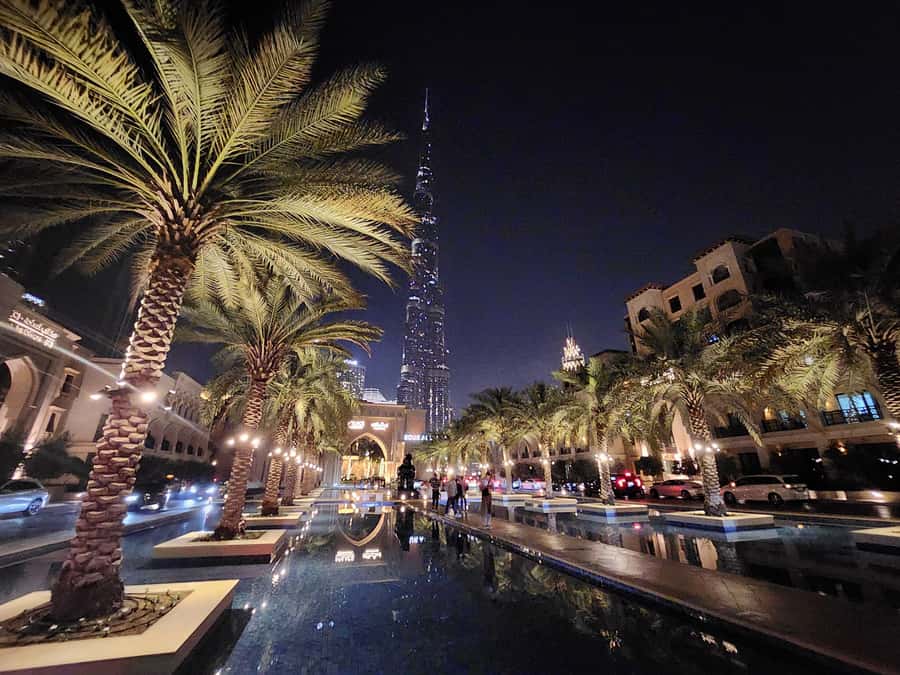 Dubai: Premium Half-Day Dubai Highlights Tour small group - Seeing the Museum of the Future from inside