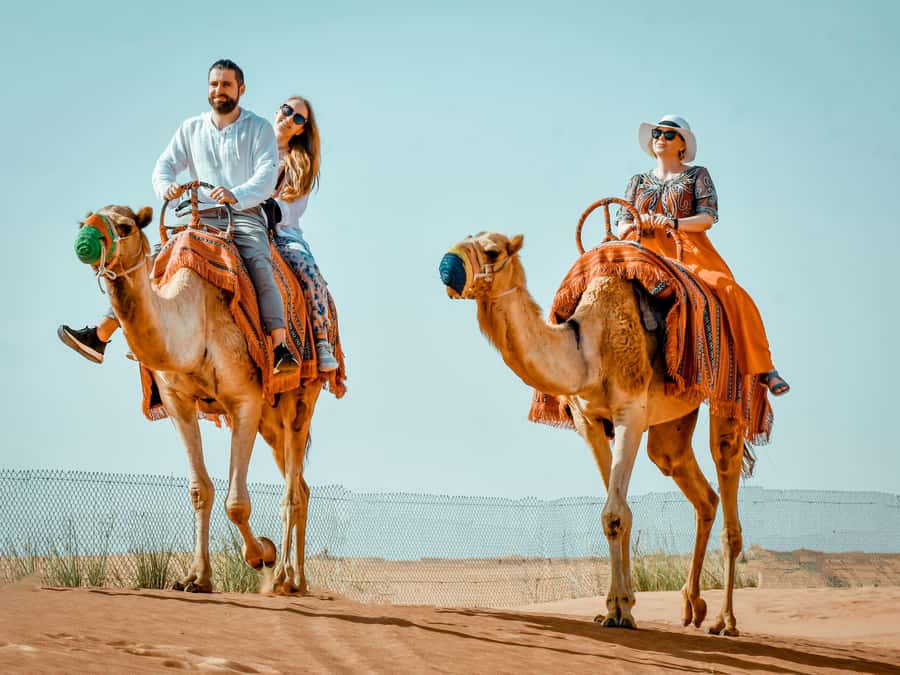 Dubai: Premium Red Dune Safari with Sandboarding & BBQ - Sandboarding and the desert photo stop
