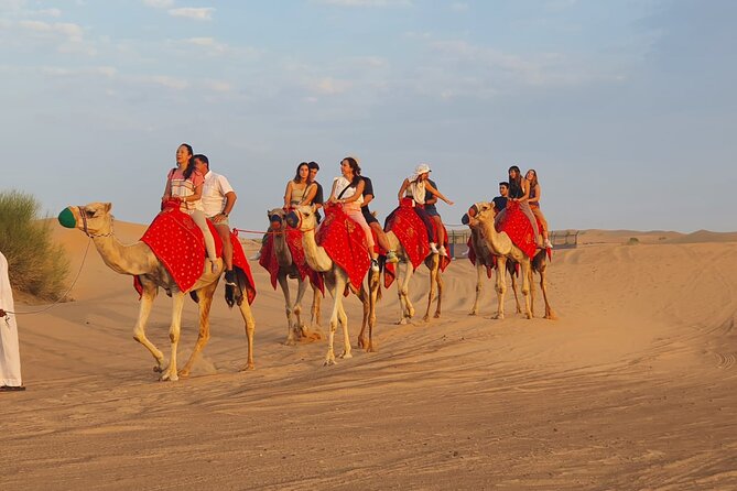 Dubai Premium Red Dunes Safari Camel Ride and BBQ Dinner - Who will enjoy this seven-hour outing