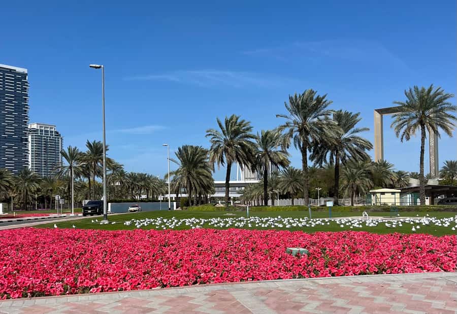 Dubai: Private City Tour with Burj Khalifa Levels 124/125 - A private route from Dubai Eye to the Creek