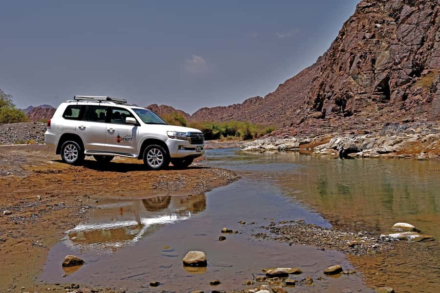 Dubai: Private Desert Day Tour and Wadi Shawka Pool Visit - Key points to know before booking