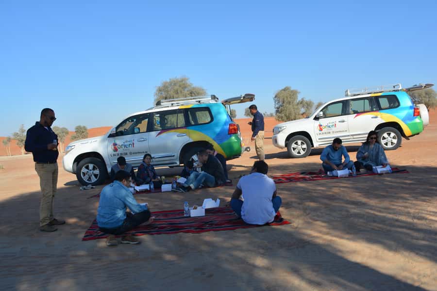 Dubai: Private Desert Day Tour and Wadi Shawka Pool Visit - The picnic lunch is convenient, but keep expectations modest
