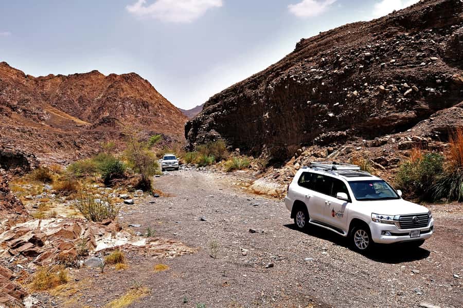 Dubai: Private Desert Day Tour and Wadi Shawka Pool Visit - Is $107 per person a fair price?