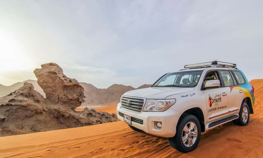 Dubai: Private Desert Day Tour and Wadi Shawka Pool Visit - Who should choose this private safari?