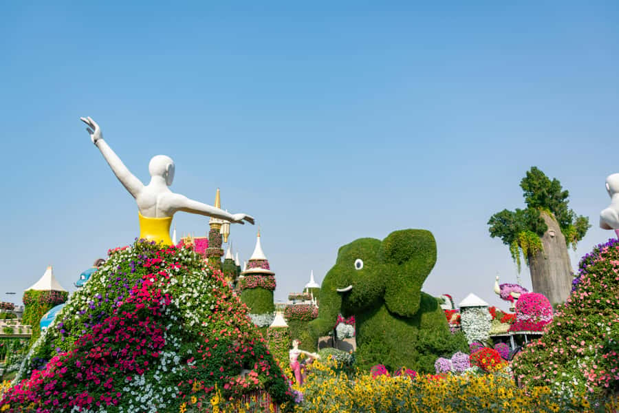 Dubai: Private Dubai Flora and Fauna Trip - Two very different gardens in one Dubai outing