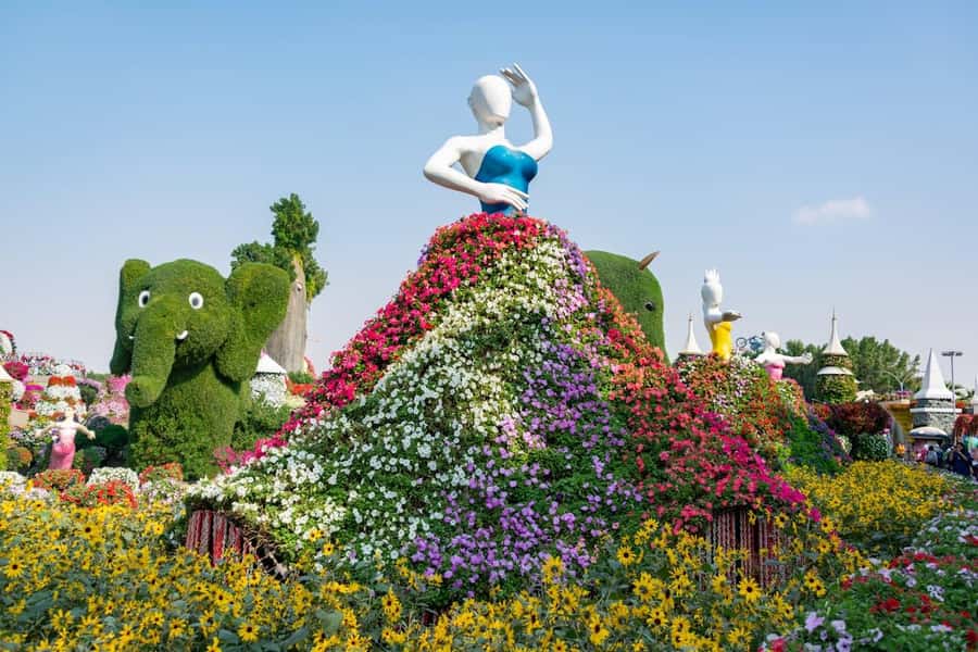 Dubai: Private Dubai Flora and Fauna Trip - Photo time, refreshments, and a gentle pace