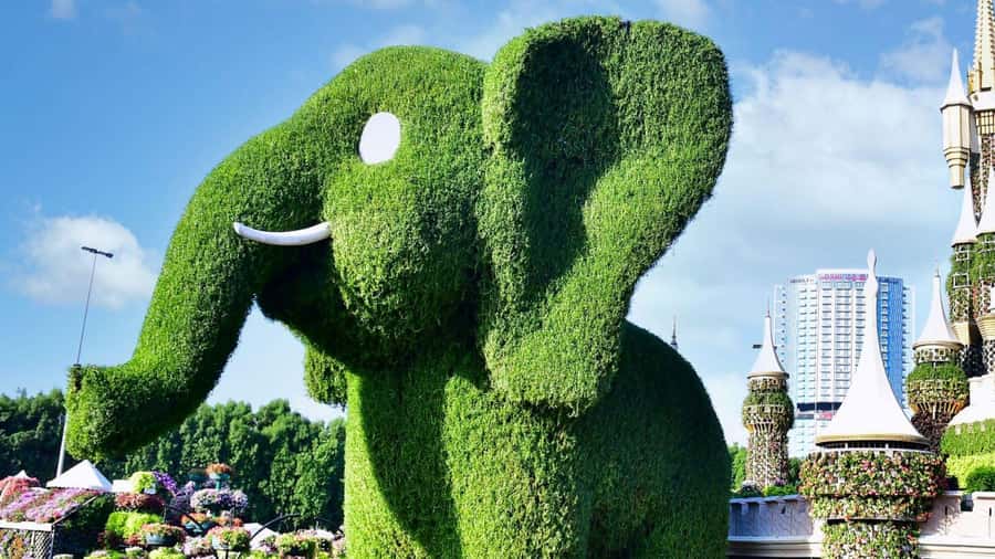 Dubai: Private Dubai Flora and Fauna Trip - What the $102 price really covers