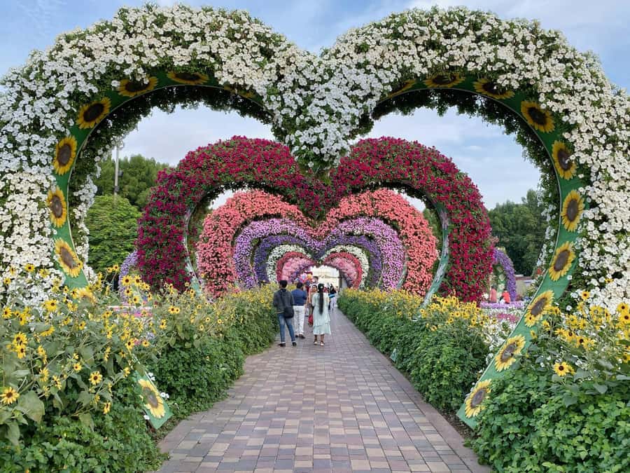 Dubai: Private Dubai Flora and Fauna Trip - Who will enjoy this half-day trip most