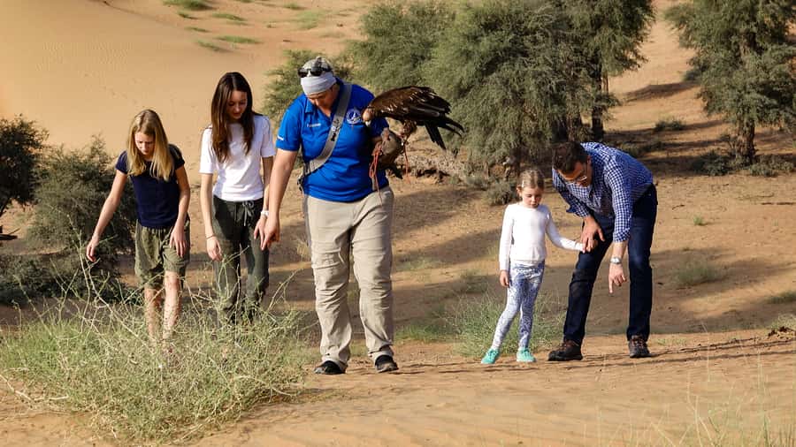 Dubai: Private Falconry Safari - Key points at a glance