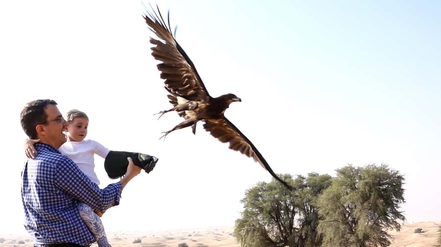 Dubai: Private Falconry Safari - Arabic coffee, dates, and an Emirati falcon camp