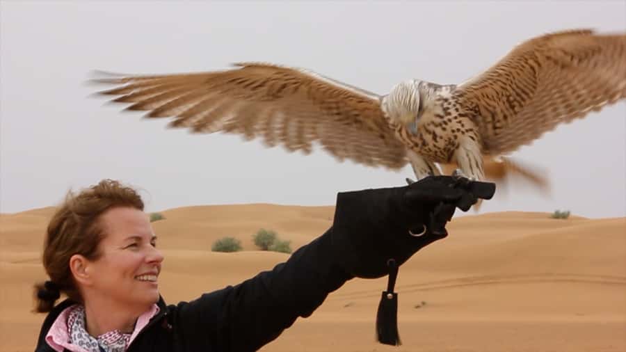 Dubai: Private Falconry Safari - Watching a peregrine fly to a drone