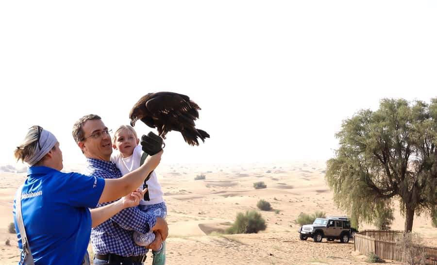 Dubai: Private Falconry Safari - Looking for oryx and gazelles in the conservation reserve