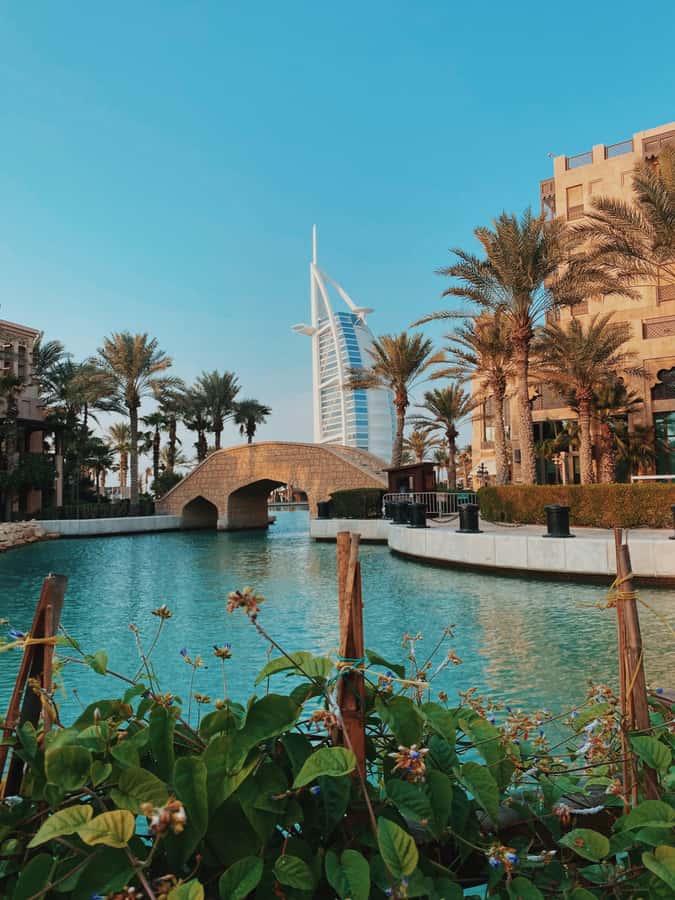 Dubai:Private Frame Entry, Mosque, Souks, Tastings& transfer - Spice Souk: scents, color, and small purchases