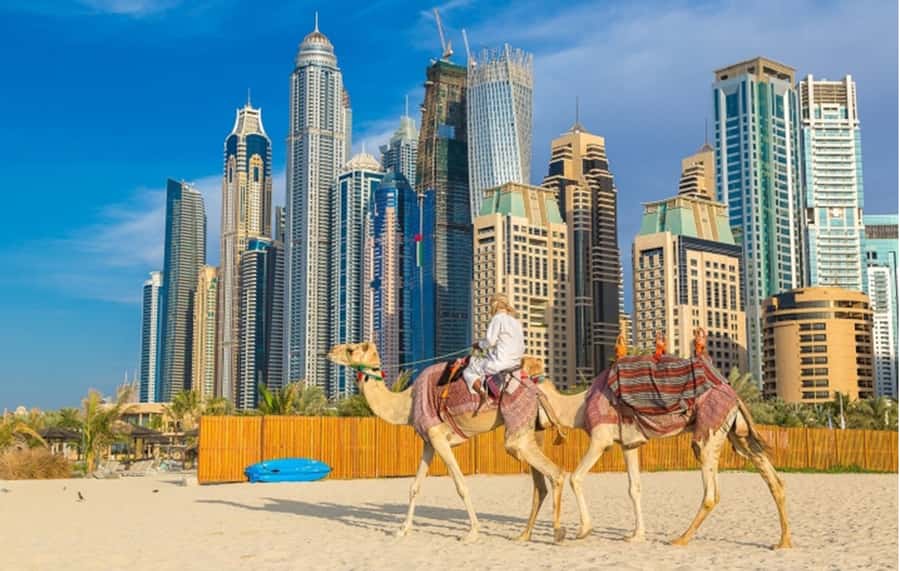 Dubai: Private Half-Day Sightseeing Tour - What the guides add to the ride