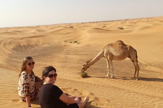 Dubai Private Morning Desert Safari: Camel Ride & Sandboarding - Should you book the Lahbab morning safari?