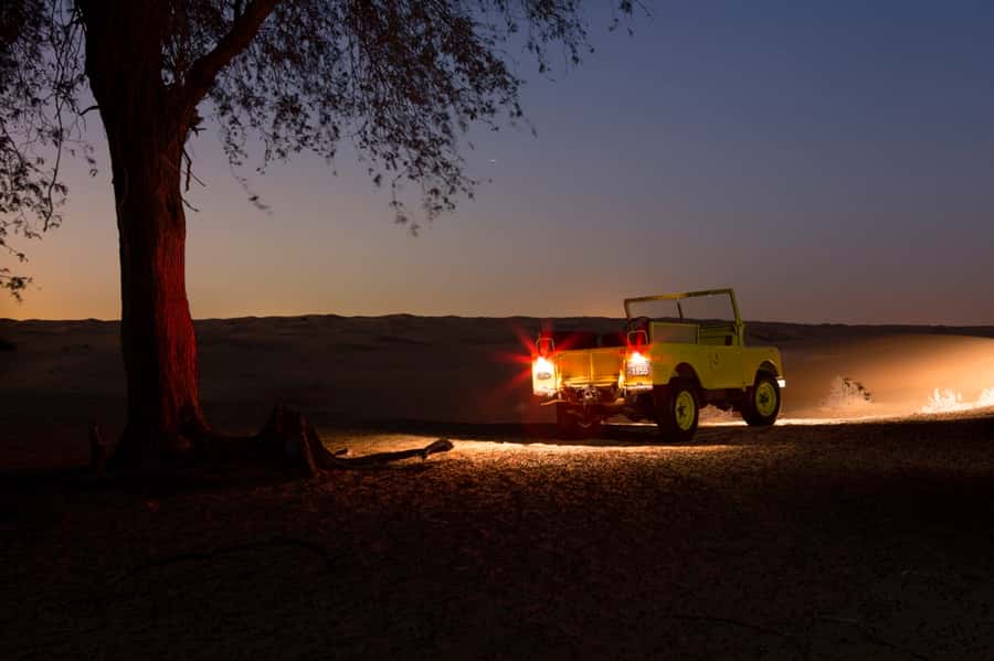 Dubai: Private Night Safari & Astronomy with 3-Course Dinner - Who will enjoy this night safari