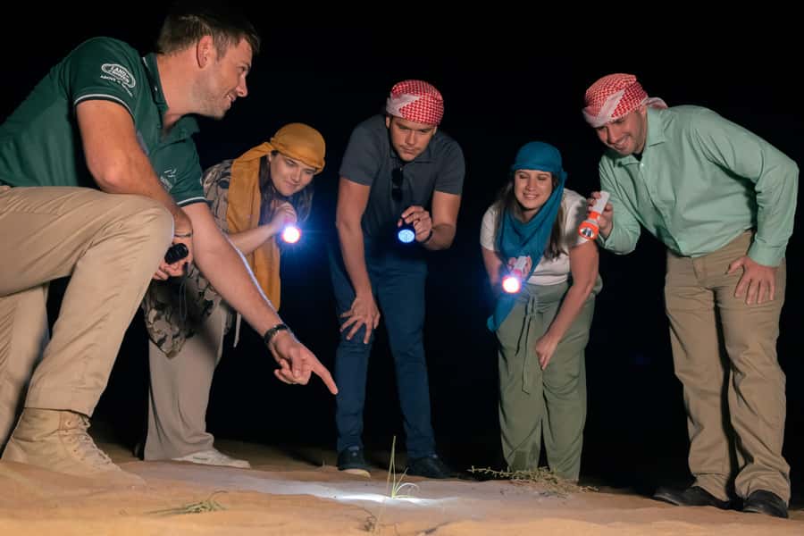 Dubai: Private Night Safari & Astronomy with 3-Course Dinner - Timing, weather, and practical planning